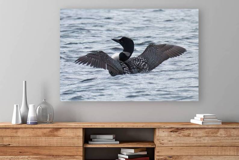 Bird Photography    Reproduction