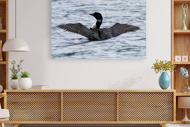 Bird Photography    Reproduction