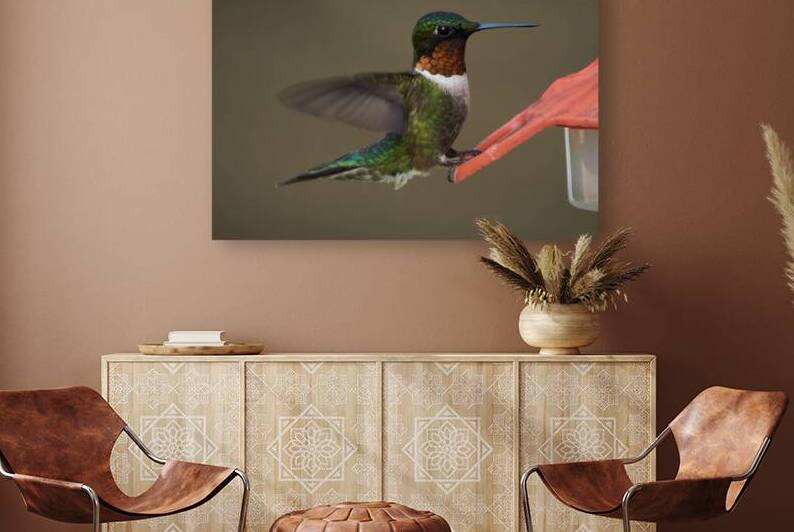 Bird Photography    Reproduction