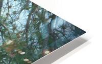 Bird Photography  HD Metal print