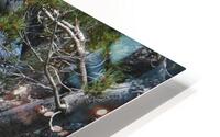 Bird Photography  HD Metal print
