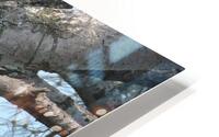 Bird Photography  HD Metal print