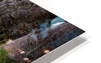 Bird Photography  HD Metal print