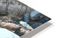 Bird Photography  HD Metal print