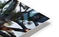Bird Photography  HD Metal print