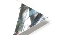 Bird Photography  HD Metal print
