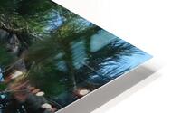 Bird Photography  HD Metal print