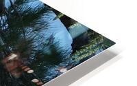 Bird Photography  HD Metal print