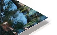 Bird Photography  HD Metal print