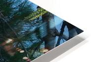 Bird Photography  HD Metal print