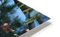 Bird Photography  HD Metal print