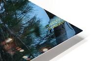 Bird Photography  HD Metal print