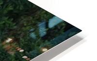 Bird Photography    HD Metal print