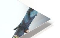 Bird Photography    HD Metal print