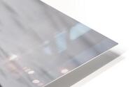 Bird Photography    HD Metal print