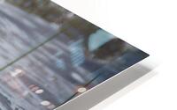 Bird Photography    HD Metal print