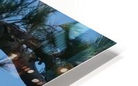 Bird Photography    HD Metal print