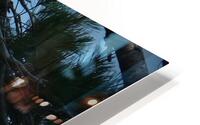 Bird Photography    HD Metal print
