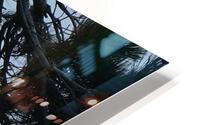 Bird Photography    HD Metal print