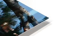 Bird Photography    HD Metal print