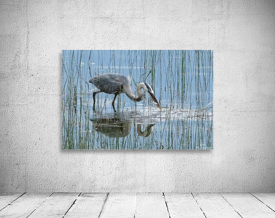 Bird Photography    Wall Preview