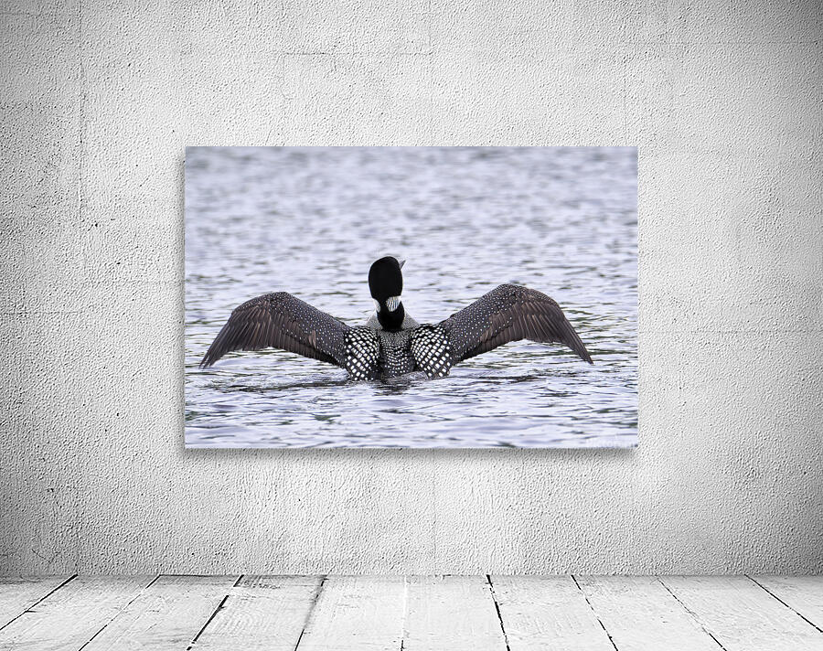 Bird Photography    Wall Preview