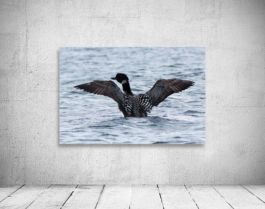 Bird Photography    Wall Preview