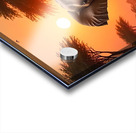 Playful Elephant Herd by the Riverbank Poster – Acrylic print