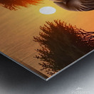 Playful Elephant Herd by the Riverbank Poster – Metal print