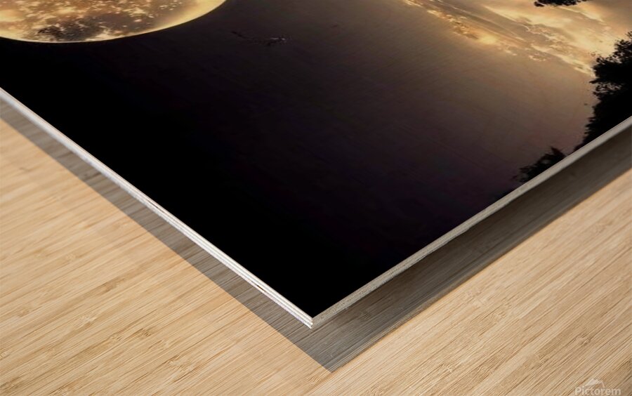 Moonlit Night Wall Poster — Transform Your Spac Wood print