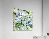 Lotus Position   Om 09122388 Acrylic Print