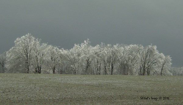 Icy winter scape Digital Download