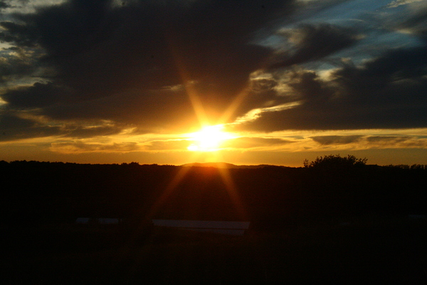 Sunset Digital Download