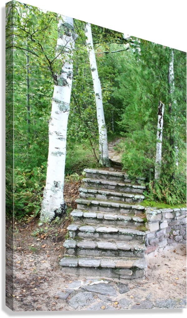 Outdoor Stairs Canvas Print