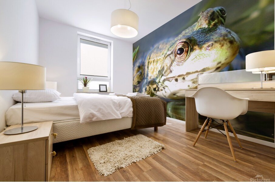 SI Frog  Mural print