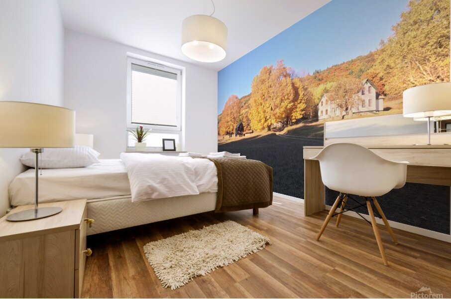 Homestead Mural print