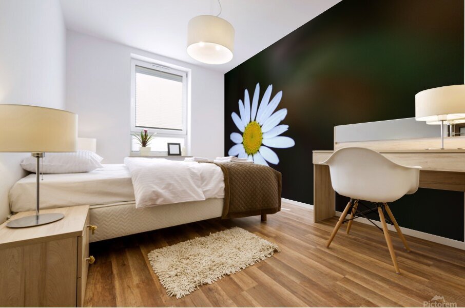 Daisy Mural print