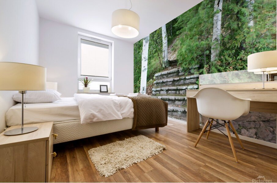 Outdoor Stairs Mural print