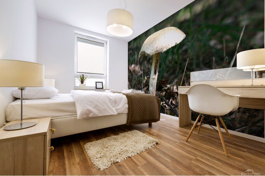 Mushroom Mural print