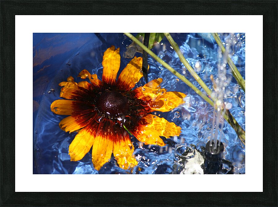 Abstract flower Picture Frame print