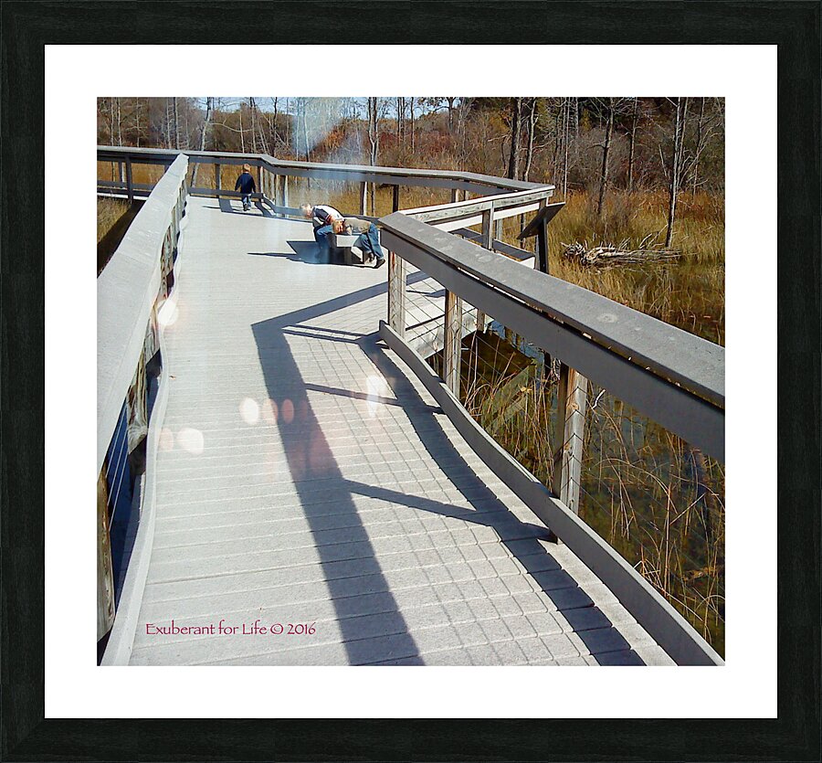 Nature walk Picture Frame print