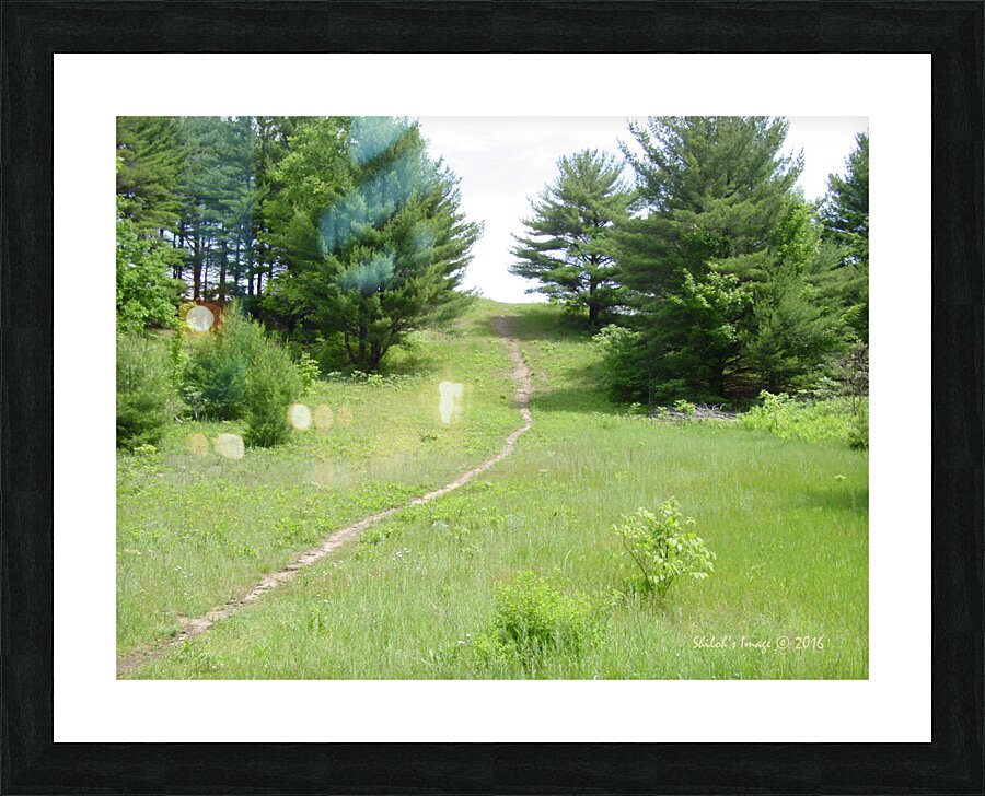 Summer path Picture Frame print