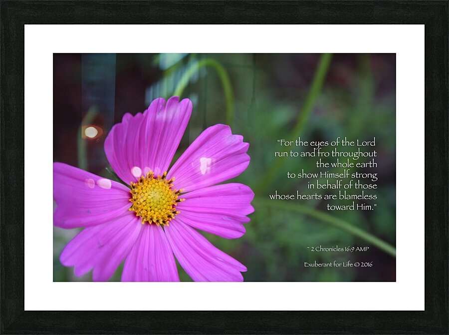 2 Chronicles 16:9  Picture Frame print