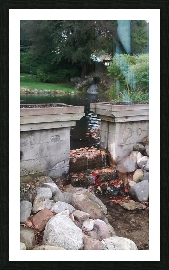 Pond Picture Frame print