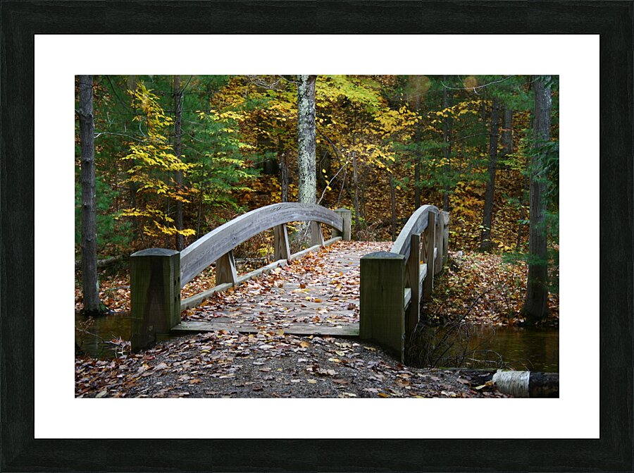 River Bridge Picture Frame print