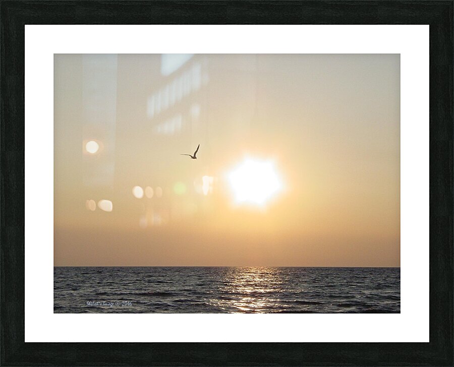 DSC06578 Picture Frame print