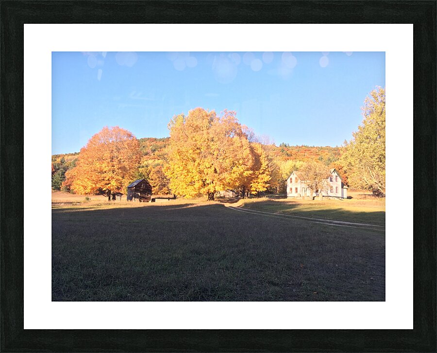 Homestead Picture Frame print