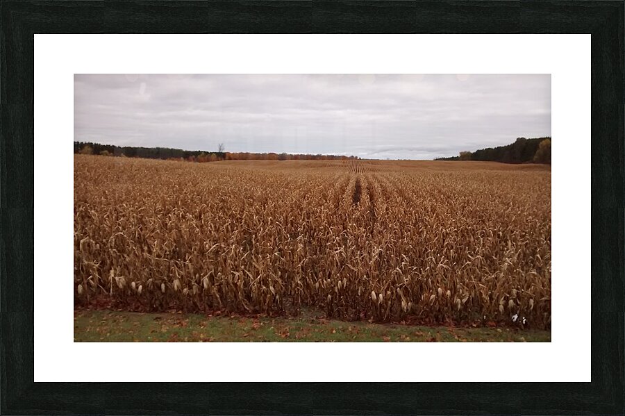 Fall Harvest Picture Frame print