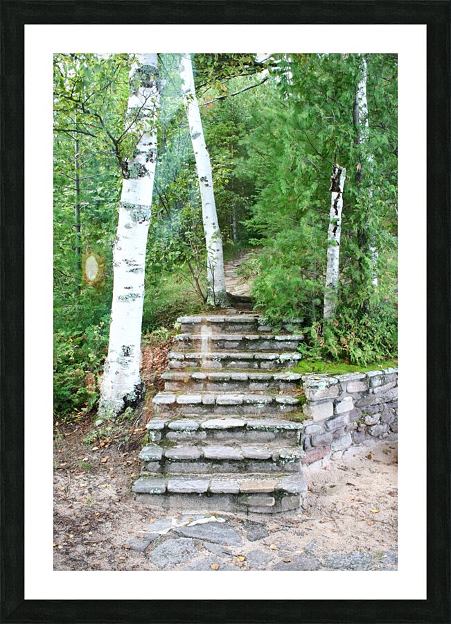 Outdoor Stairs Picture Frame print