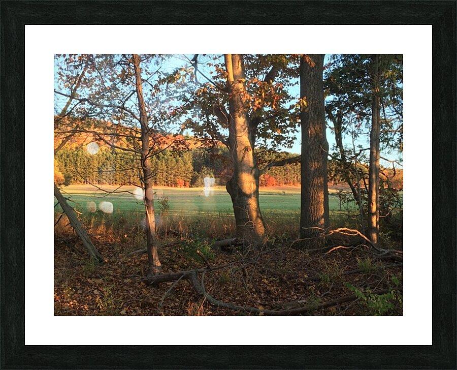  Fine Art print